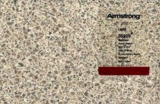 armstrong-sheet-flooring-lucky-martinique4-460.jpg