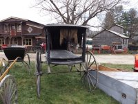 horse hearse rough 2.jpg