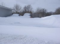 winter storm 2011 feb 009.jpg