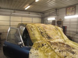 IMG_0233.jpg