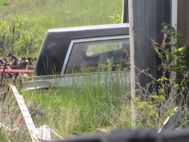 IMG_0279.jpg