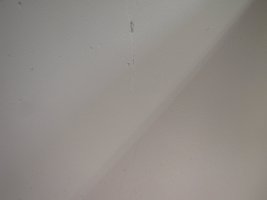 IMG_0311.jpg