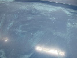 IMG_0399.jpg