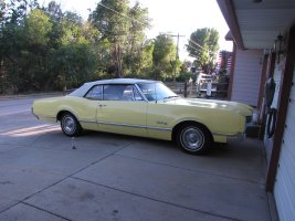 IMG_0439.jpg