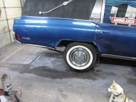 IMG_0443.jpg