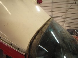 IMG_0667.jpg