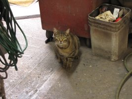 IMG_0691.JPG