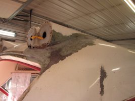 IMG_0762.jpg