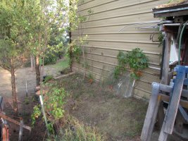 IMG_0799.jpg