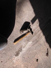IMG_0942.jpg