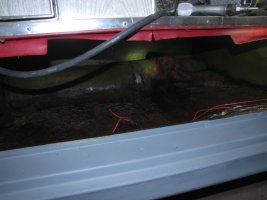 IMG_1197.jpg