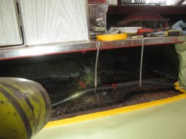 IMG_1210.jpg