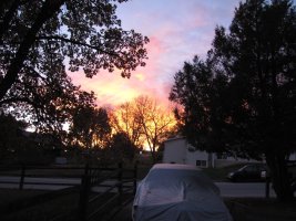 IMG_1230.jpg