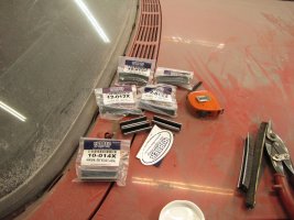 IMG_1236.jpg