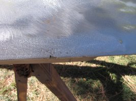 IMG_1250.jpg