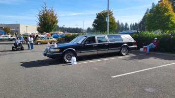 Raven Ponys in the park.jpg