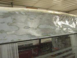 IMG_1445.JPG IMG_1445.JPG