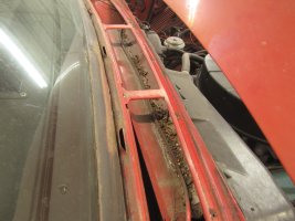 IMG_1482.JPG IMG_1482.JPG