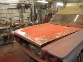 IMG_1512.JPG IMG_1512.JPG