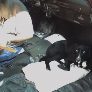 Diamond supervises work on the car, July 2009