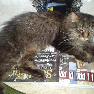 Pandora reading her favorite publications