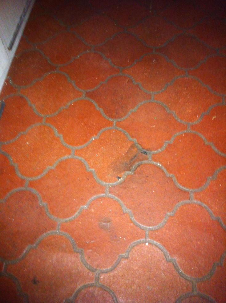 Original flooring.  Matches the brochure I have as well.