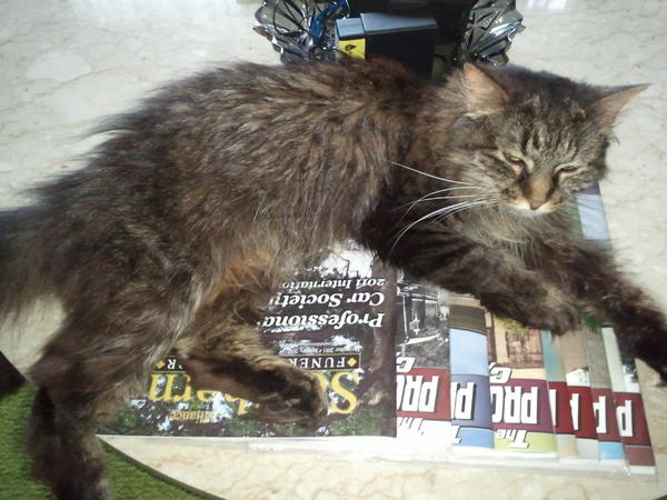 Pandora reading her favorite publications