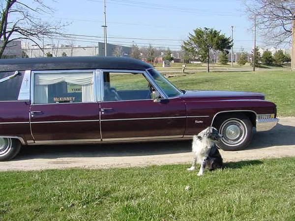 percy and the 71